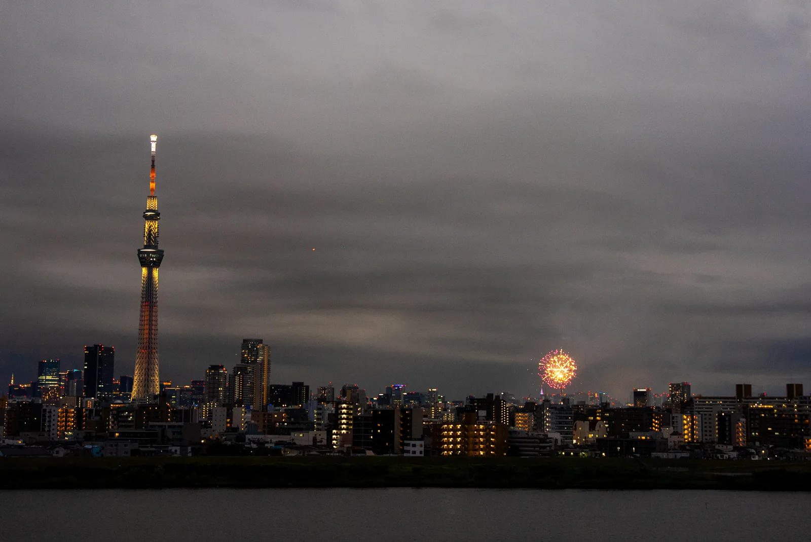 隔著河川眺望東京晴空塔與煙火（隅田川花火大會）