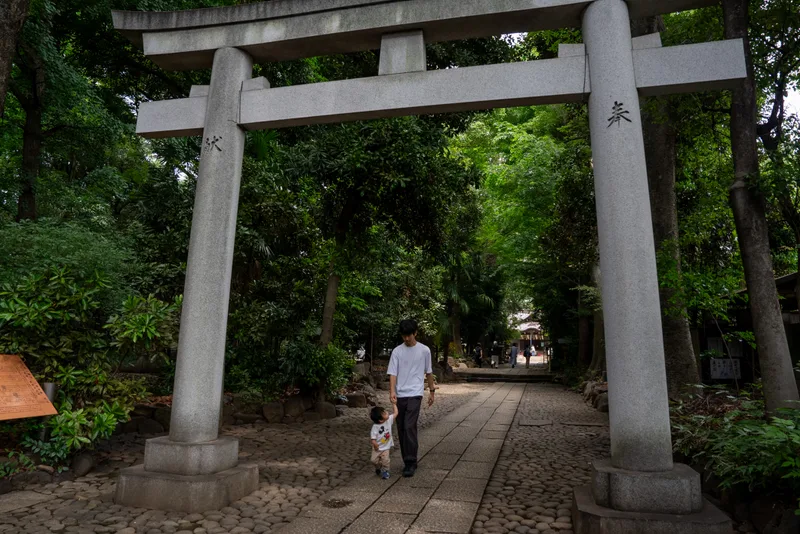 穿過石鳥居，走進參道