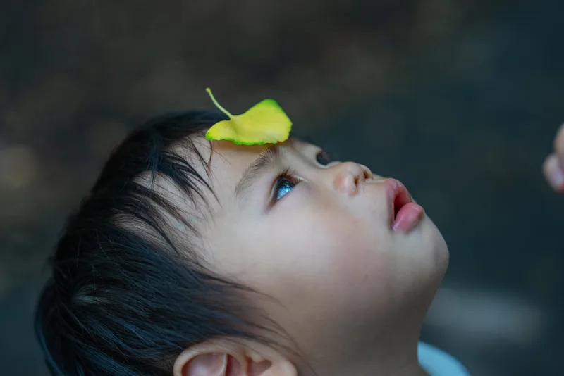 把葉子放在額頭上，抬頭望天